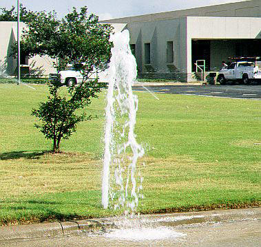 broken sprinkler head